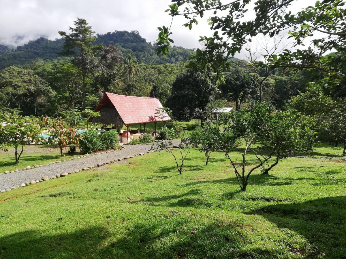 קפוס Hacienda Mil Bellezas - Private 40Ha Jungle Reserve מראה חיצוני תמונה