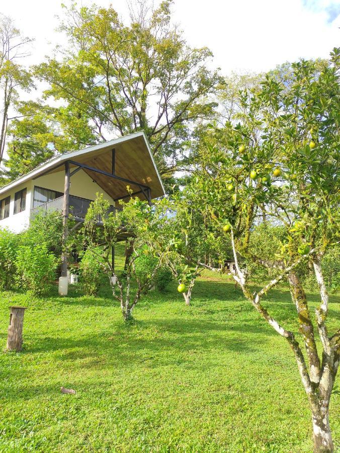 קפוס Hacienda Mil Bellezas - Private 40Ha Jungle Reserve חדר תמונה