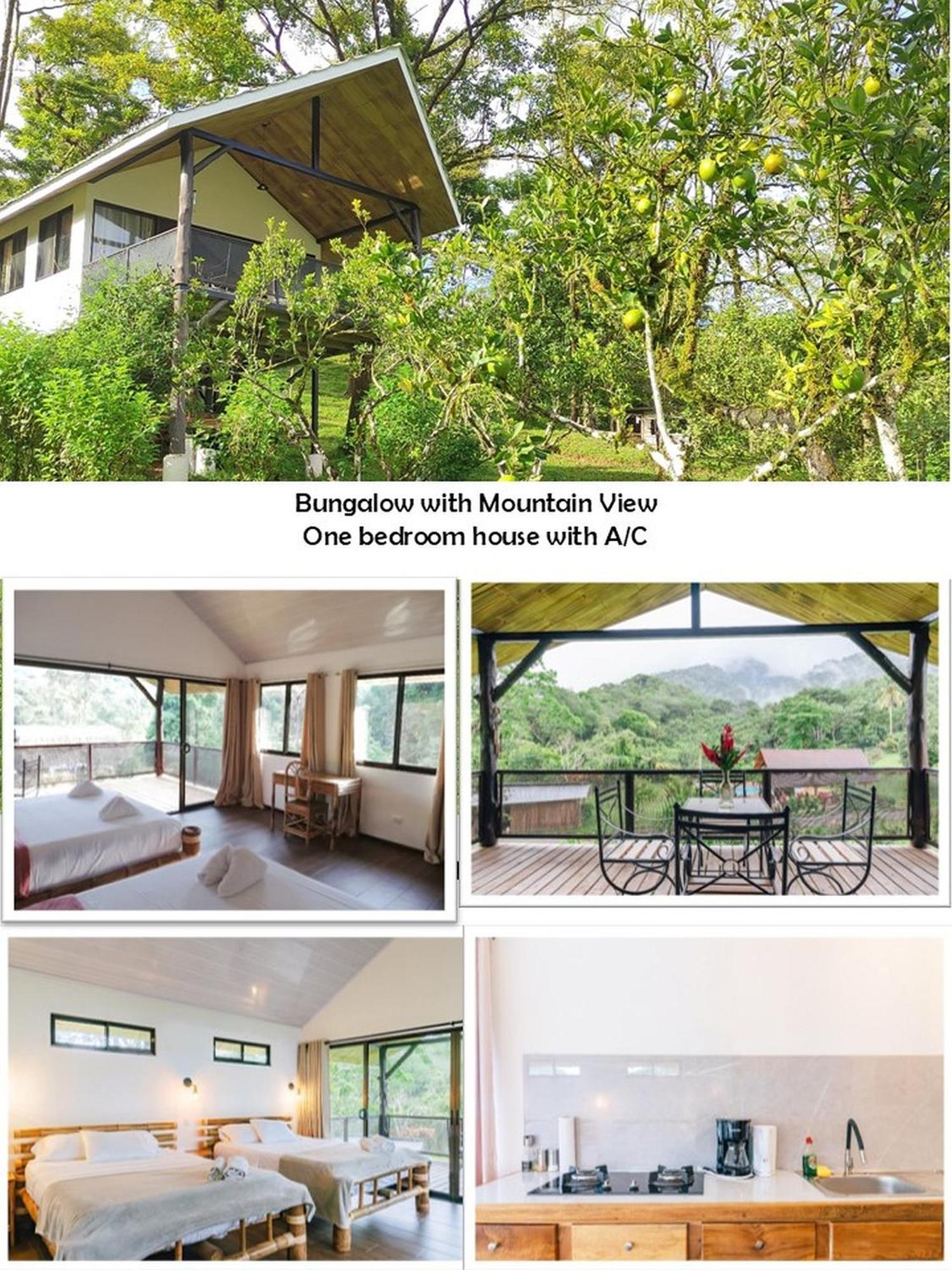 קפוס Hacienda Mil Bellezas - Private 40Ha Jungle Reserve מראה חיצוני תמונה
